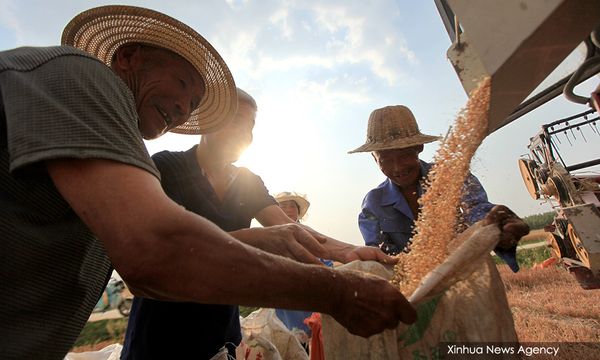 China's drought could last until Sept as it races to protect harvests