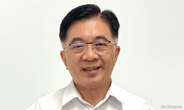 Flag gaffe: DAP's Boo wants council president probed for overreach
