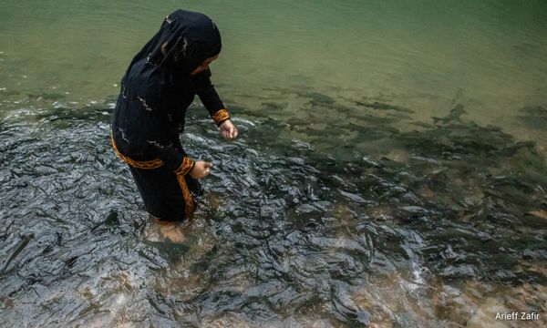 Locals empowered to protect Sabah rivers now reap aquatic bounty