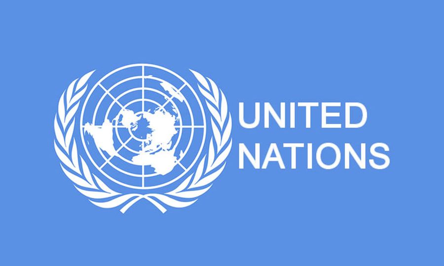 UN General Assembly elects 5 new Security Council members