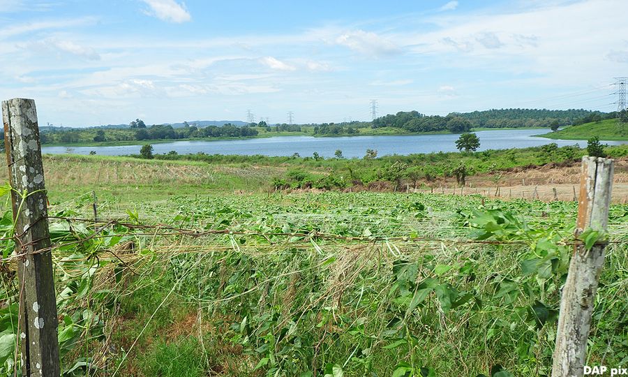 Tiga empangan di Johor mampu bertahan 55 hari jika tiada hujan hingga 30 April