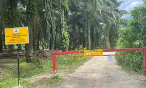 PSM activist: Gate erected overnight restricting farmers from land