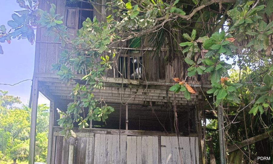 Human remains found in wooden house, suspected of ex-Perak rep's son
