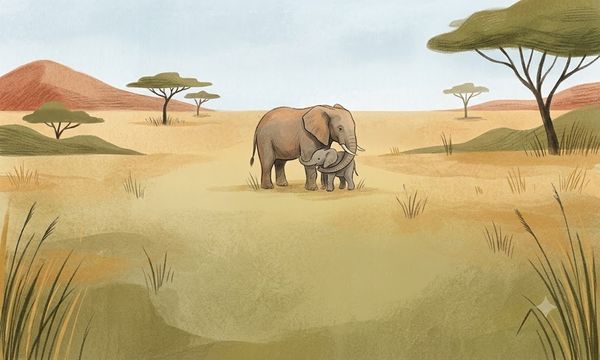 KOLUM | Gajah dan kasih sayang