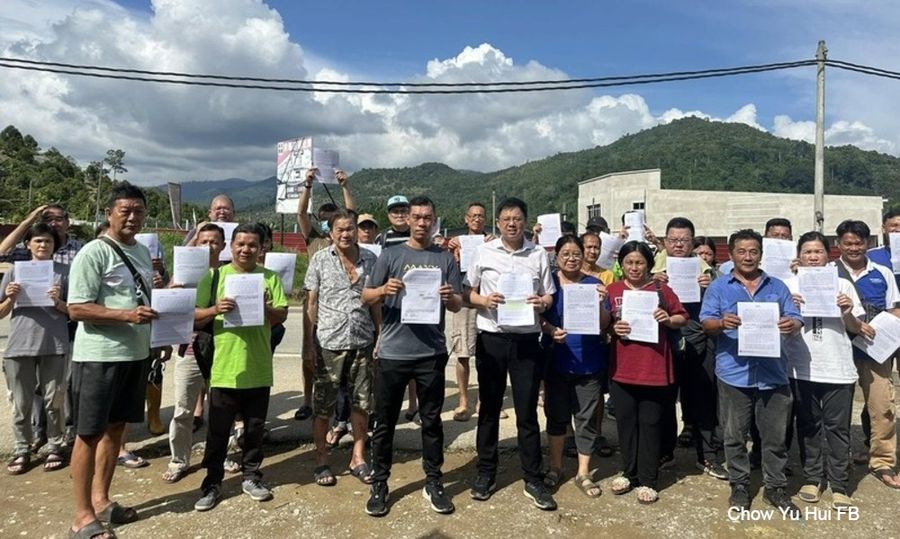 彭执法部队砍200榴莲树，邹宇晖抨无视庭令滥权霸道