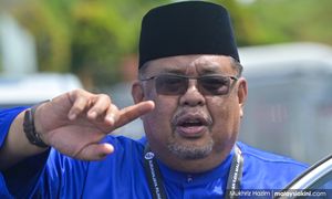 Rauf wins Masjid Tanah Umno division chief post uncontested