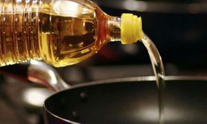 Harga, status halal punca minyak masak banyak diseludup