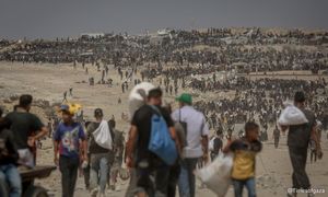 Palestine hails Trump's peace efforts readiness to work with US to end Gaza war