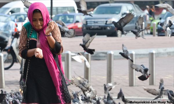 Avian 'mass execution' in Penang streets ruffles Peka's feathers