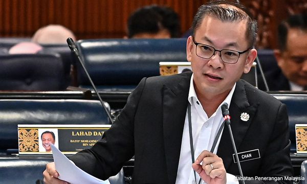 鸡肉鸡蛋价格管制解除，陈泓缣解释缘由