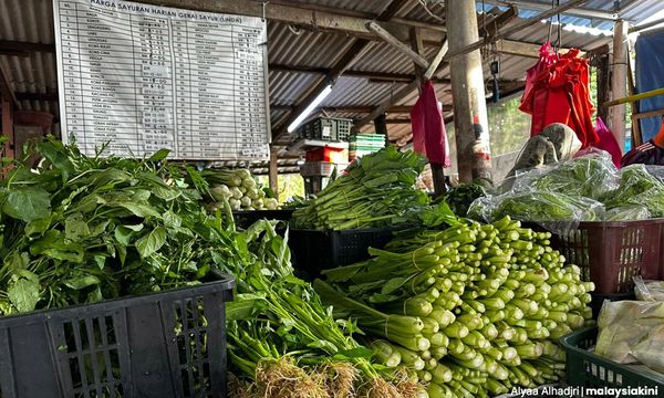 LETTER | Malaysia needs Food Security Act that puts rakyat first