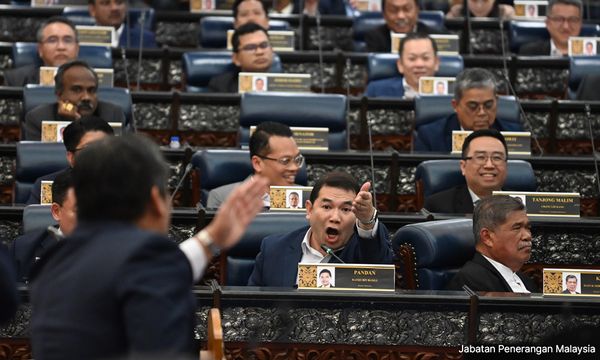 COMMENT | What to make of Parliament of apes, owls and vultures?