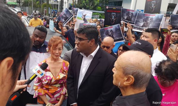 Justice for 'Kopi' - animal rights activists will haul local council to court