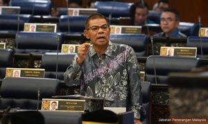 Saifuddin: Henti guna istilah ‘dinafikan hak kewarganegaraan’