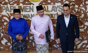 Budget short on social protections despite STR boost - economist