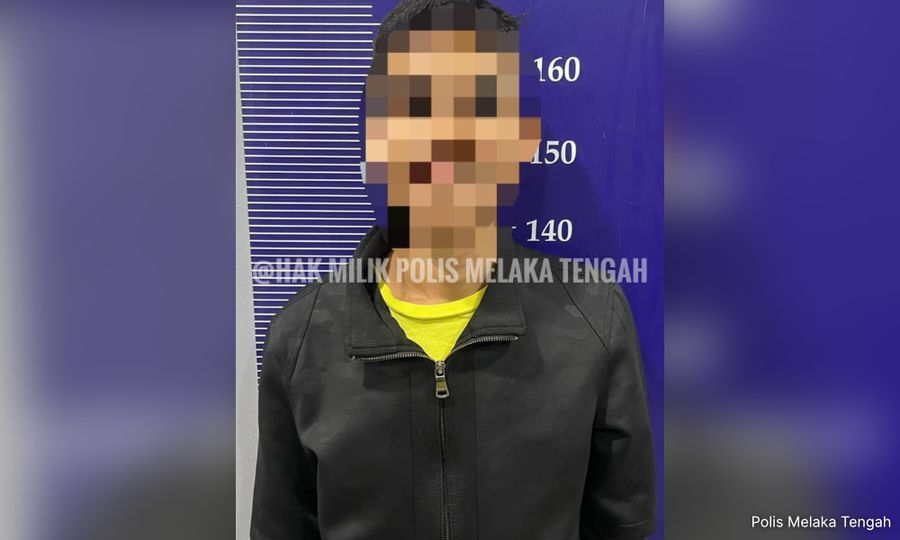 警方逮捕民宿男子，援二罪查“甲州老妇被打案”