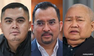 'Biadab' - Pemimpin Umno, Pemuda Amanah, Putra bidas kenyataan Tony Pua