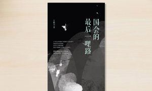 孤独的开荒牛：序《国会的最后一哩路》