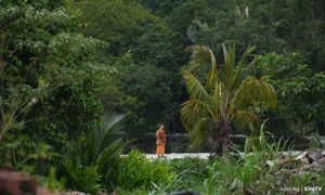 ‘Ini Tuhan kasi’ - kenapa sukar buat sami pindah dari Gunung Kanthan