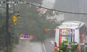 Pokok tumbang: 10 kenderaan rosak, termasuk peronda polis