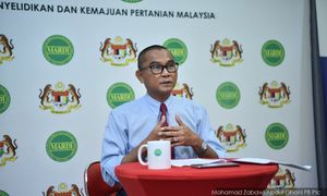 Mardi temui varieti baru periuk kera