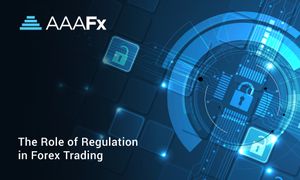 The Role of Regulation in Forex Trading