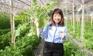 林慧英解释柴油津贴重组，保证农民运作成本不提高