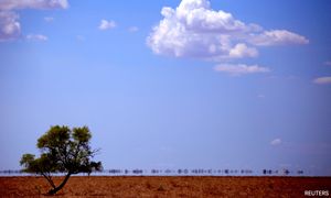 Australian officials warn of bushfire threat as heatwave grips Sydney