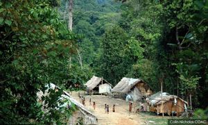 Zahid: Pindaan akta Orang Asli dibentang pertengahan tahun depan