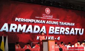 Wan Fayhsal intai jawatan lebih tinggi dalam Bersatu