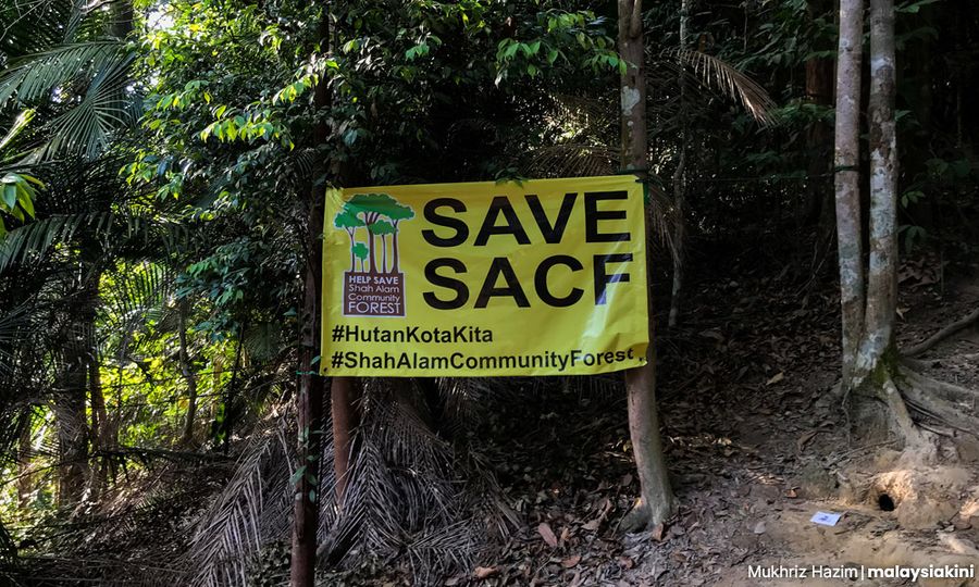 COMMENT | Compromise solution between greed, conservation
