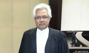 Ampunkan Najib: Agong bertindak atas nasihat, kata Zainur