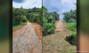 Dog shelter gains reprieve amid threat of road closure