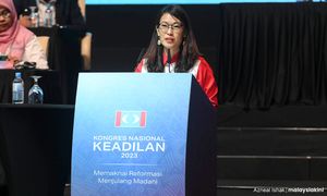 Respect PKR grassroots in appointments, says delegate