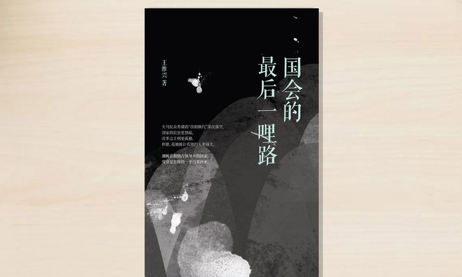 孤独的开荒牛：序《国会的最后一哩路》