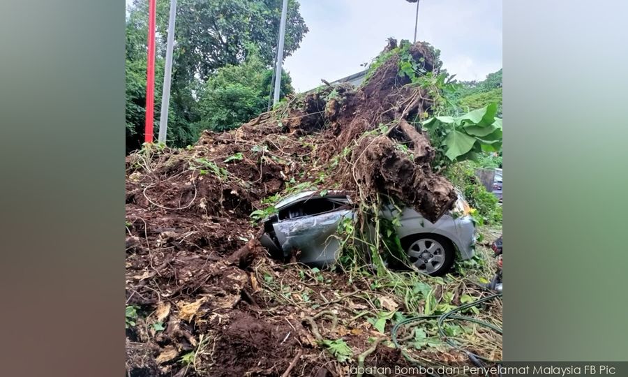 Dua lelaki maut dihempap pokok tumbang di Ampang