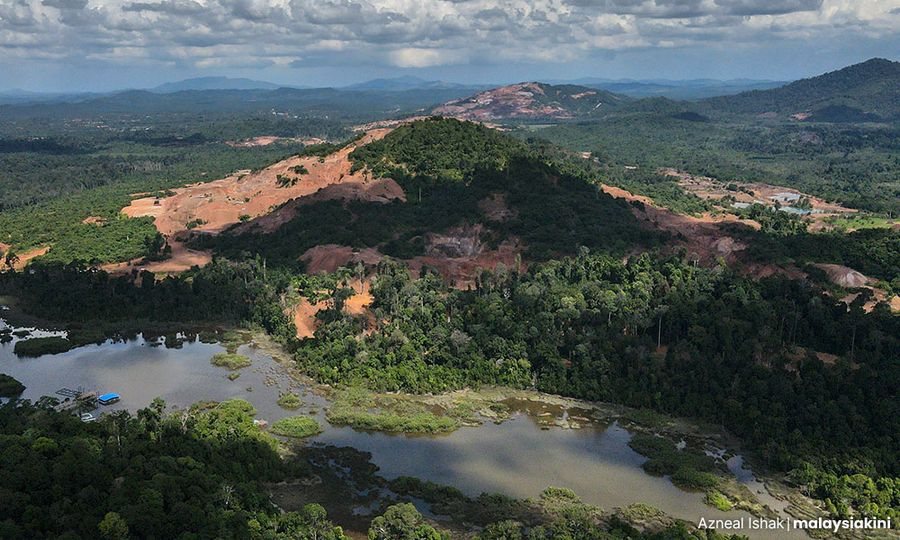 Set up special panel to tackle land encroachment, Pahang govt urged