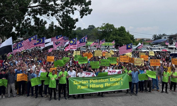 Raub Farmers Seek Justice from PM over Stolen Durian and Unfair Contract