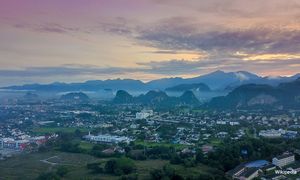 LETTER | Trees - nature's greatest gift