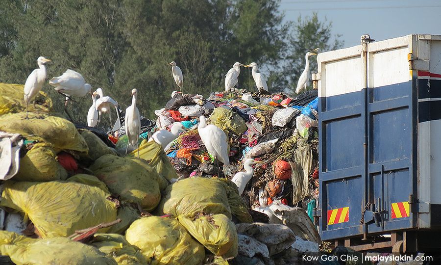 LETTER | All states should adopt Act 672
