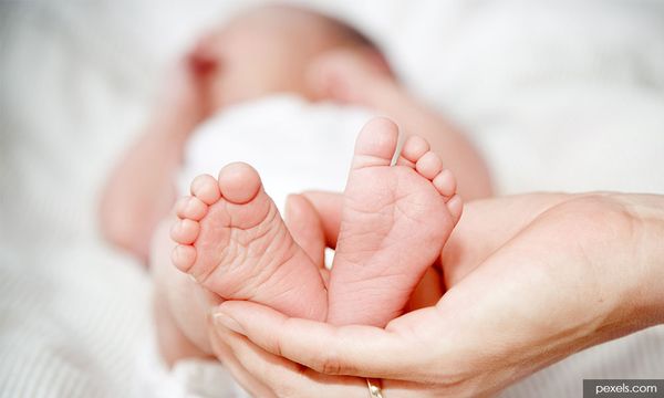 Total fertility rates rise across ethnicities, but Chinese still low
