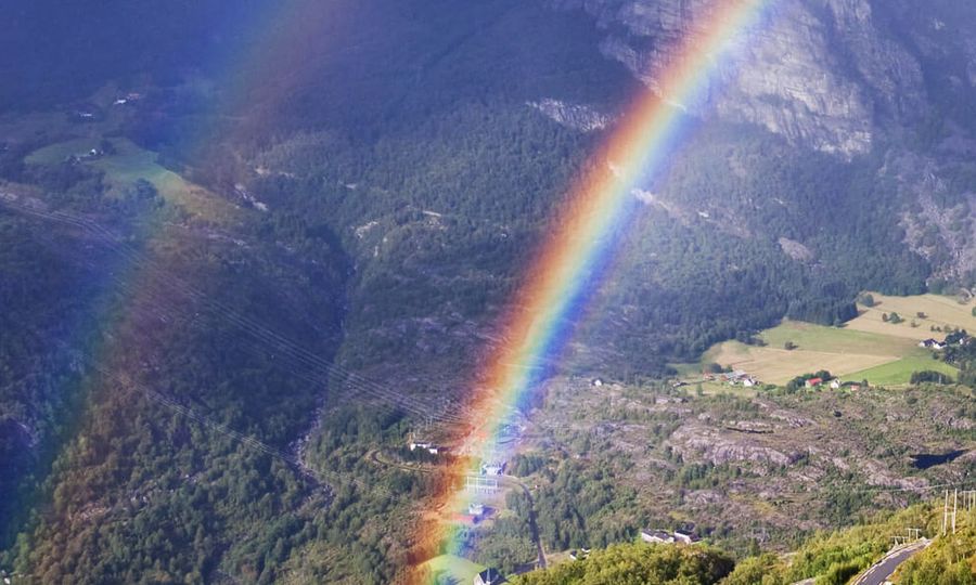 COMMENT | The different colours of carbon