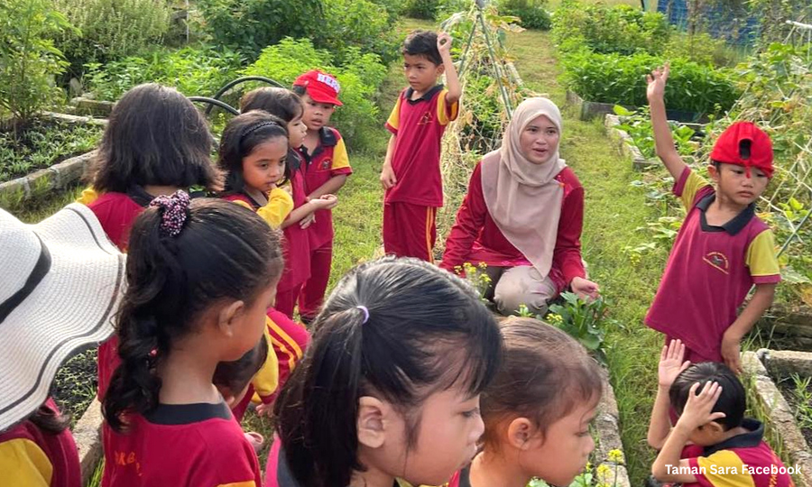 Seeds of change in mainland Penang