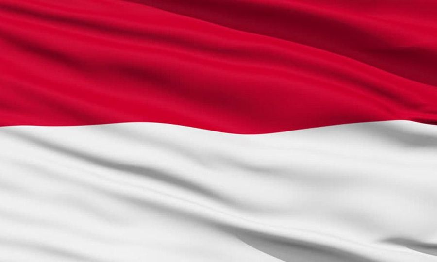 Over 40 private jets to arrive in Indonesia ahead of Jokowi son's wedding