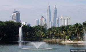 Establish 'native treebank', don't lose pockets of greenery - expert