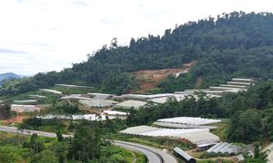Tanah runtuh: Jalan Gua Musang- Lojing ditutup sepenuhnya