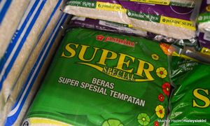Bekalan beras tempatan dijangka naik 450,000 tan metrik akhir tahun