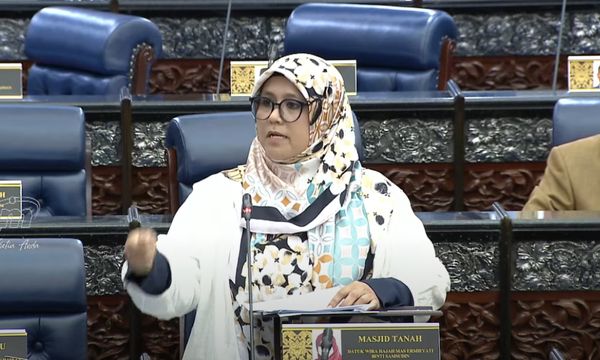 Don't let AI become 'another illusion or Anwar Ibrahim', Bersatu MP warns