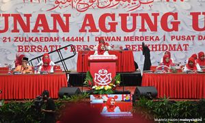 Umno wings stress on need to strengthen govt for national stability