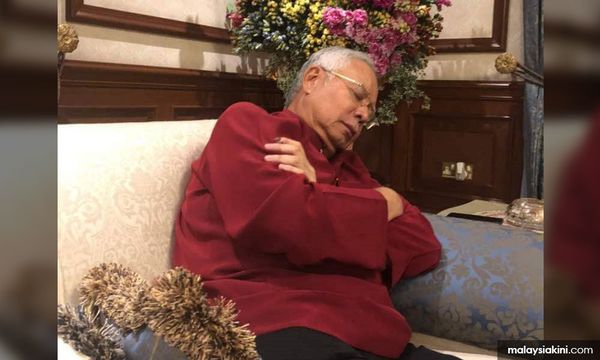 COMMENT | House arrest for quinoa rice and nightly snuggles